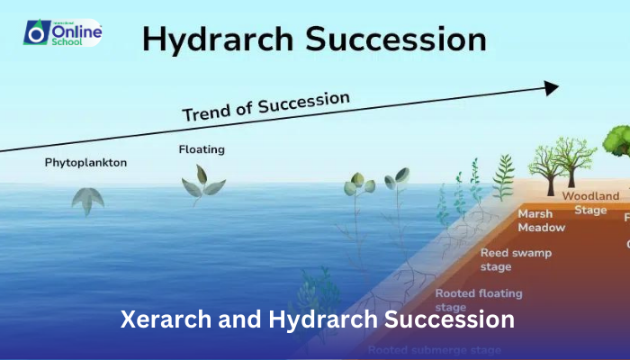Lesson 09: Differentiation Between Xerarch and Hydrarch Succession
